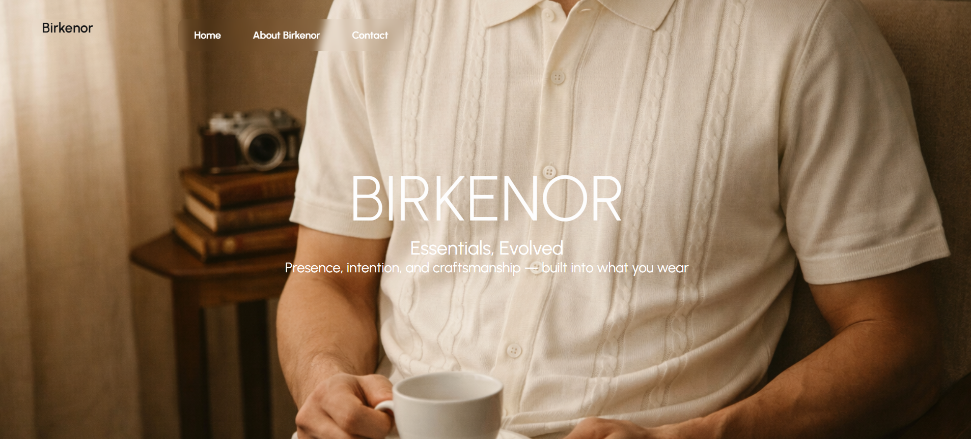 Birkenor website mockup